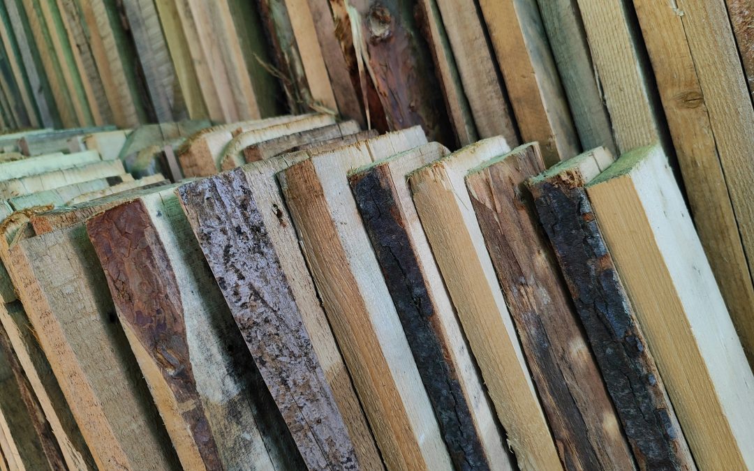 Tarifs douaniers : préoccupations pour l’avenir des communautés forestières