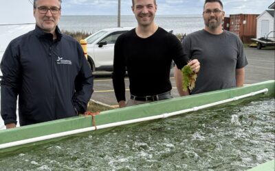 Un premier bassin extérieur destiné à la culture d’algues