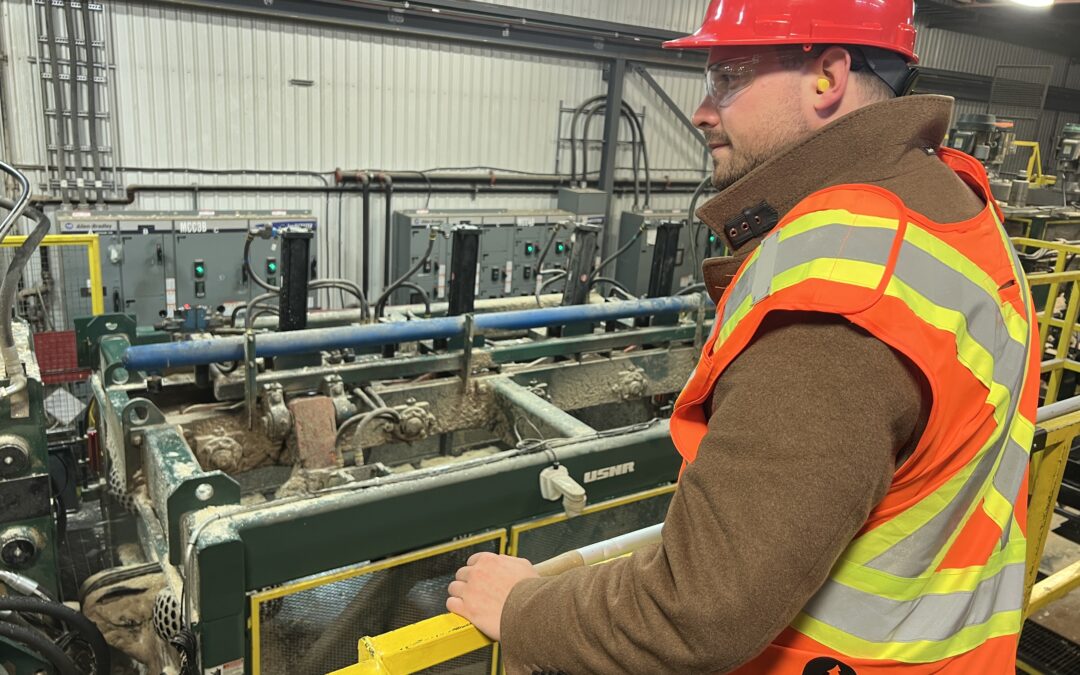 Le Bloc Québécois demande un plan de sauvetage pour l’industrie forestière