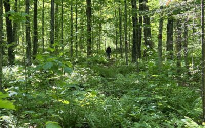 La Grande marche Pierre Lavoie au profit de Prescription nature