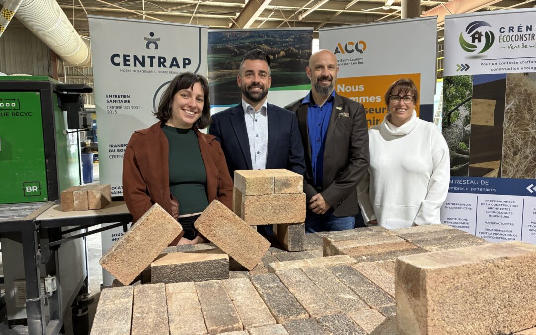 Nouveau service de reconditionnement des briques en construction