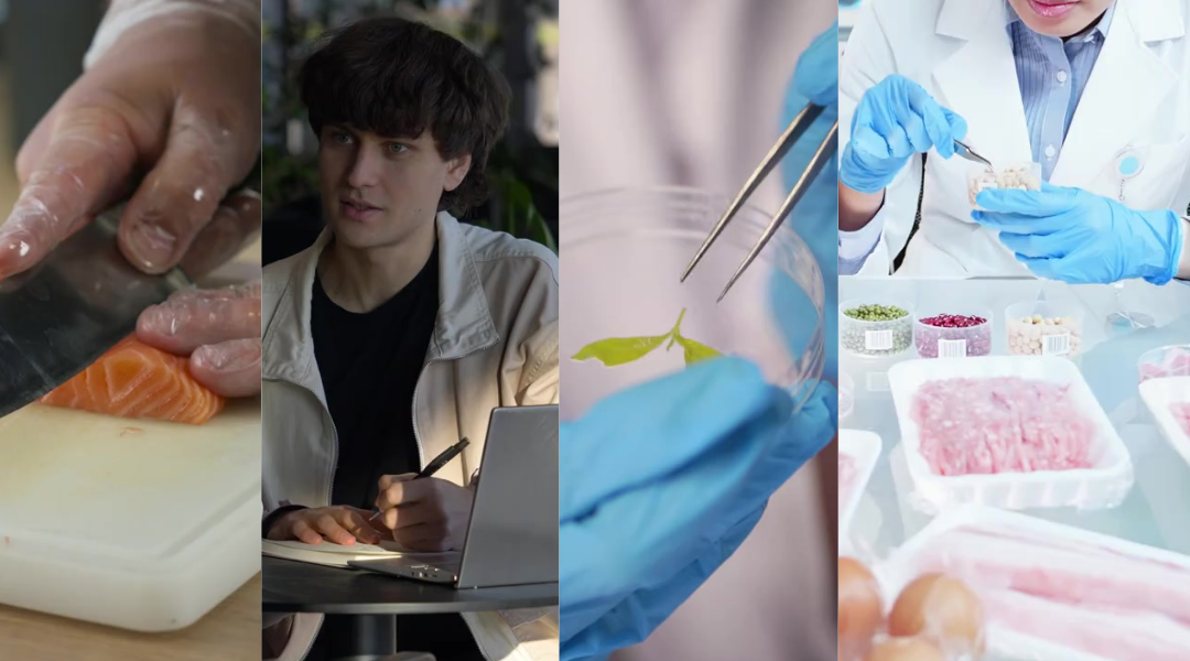 Un nouveau DEC en technologies bioalimentaires aquatiques