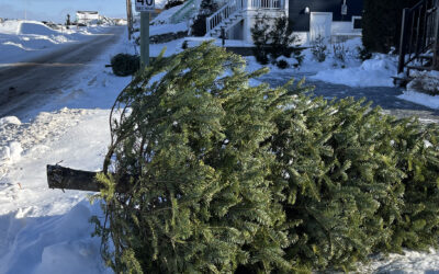 Le calendrier des collectes est arrivé à Rivière-du-Loup