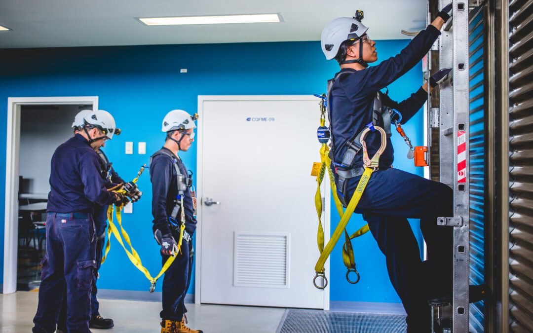 Le Cégep de la Gaspésie certifié pour de nouvelles formations en maintenance d’éoliennes 