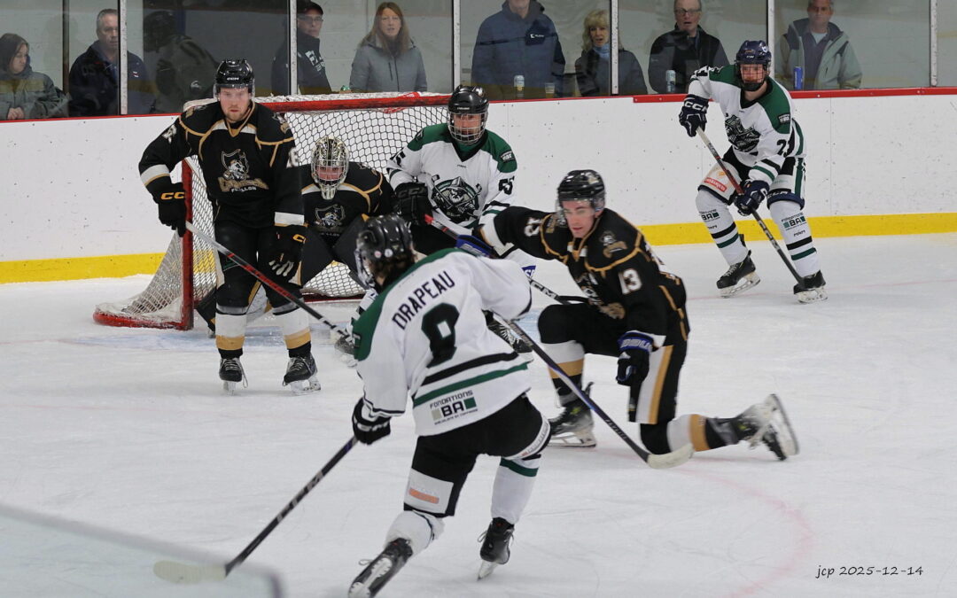 Hockey senior : plus que deux matchs pour Trois-Pistoles