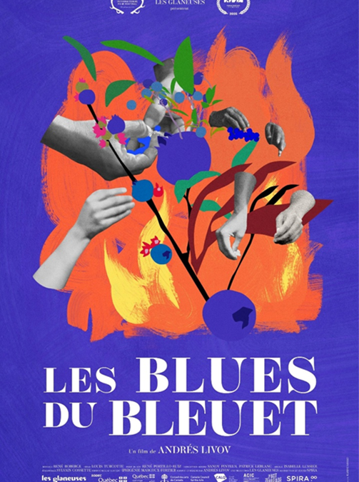 Les blues du bleuet : un portrait sensible du Lac-Saint-Jean
