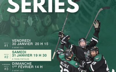 Hockey senior : place aux séries