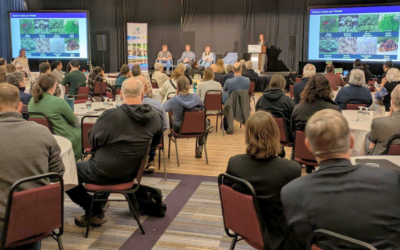 Le Bas-Saint-Laurent mobilisé contre les espèces envahissantes