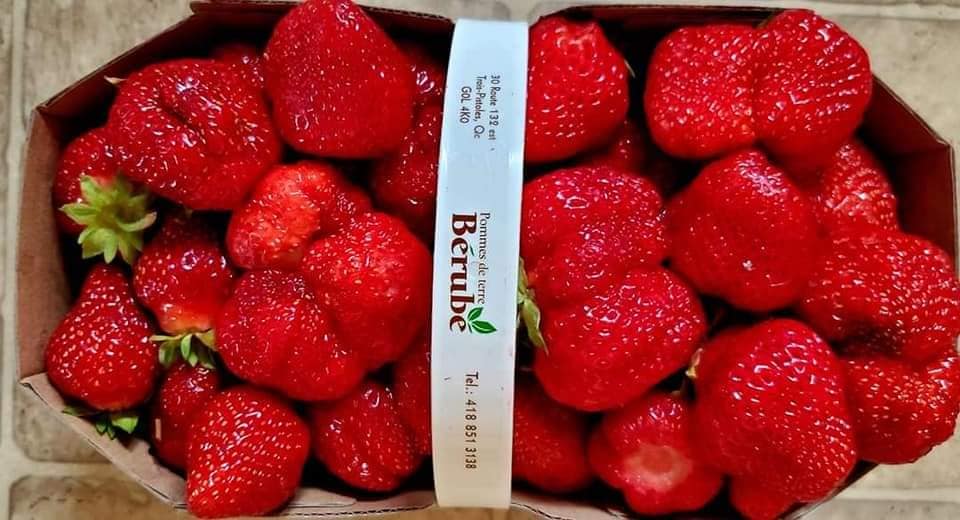 Essence : des impacts majeurs pour les producteurs agricoles