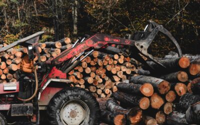 Faire de la filière forestière une priorité absolue