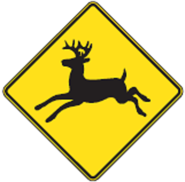 Présence de la grande faune aux abords des routes au printemps 