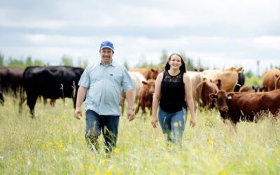 Soutien aux projets en agriculture
