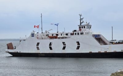 Un comité de science citoyenne sur le maritime voit le jour à Trois-Pistoles