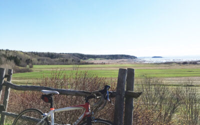 Consultation publique sur le développement du vélo dans les Basques