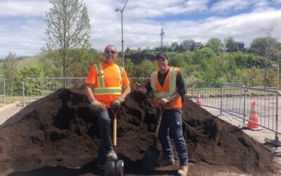 Distribution gratuite de compost et de plants d’arbres à Rivière-du-Loup