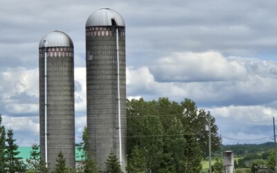 Le troupeau de la Ferme Fibel décimé par un incendie