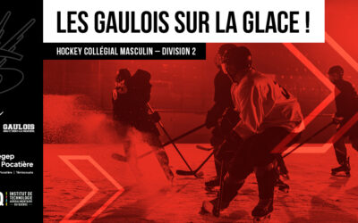 Les Gaulois visent un retour sur la glace dès 2027