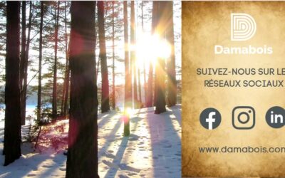 Damabois annonce la fermeture temporaire de deux usines