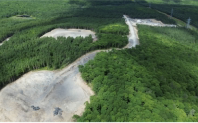 La forêt publique bas-laurentienne, quand est-elle devenue trop petite?