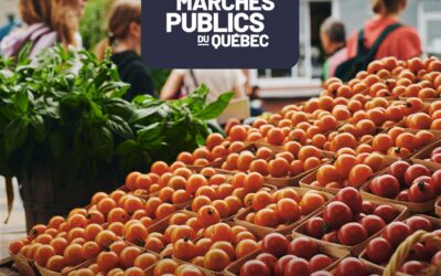 La Semaine des Marchés publics se poursuit