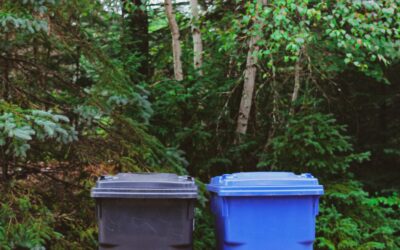 Changements à la collecte des bacs noirs